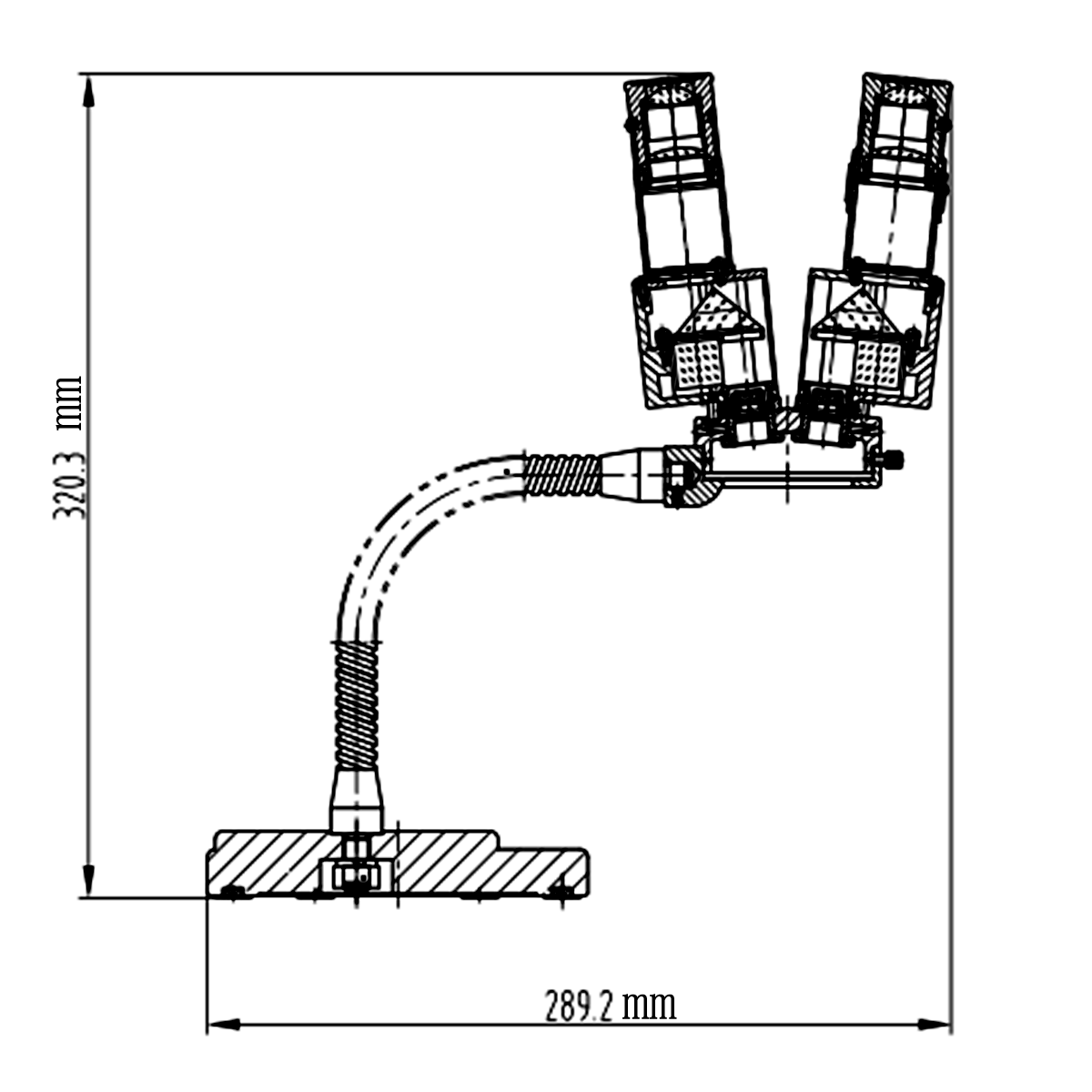 Stereo Microscope